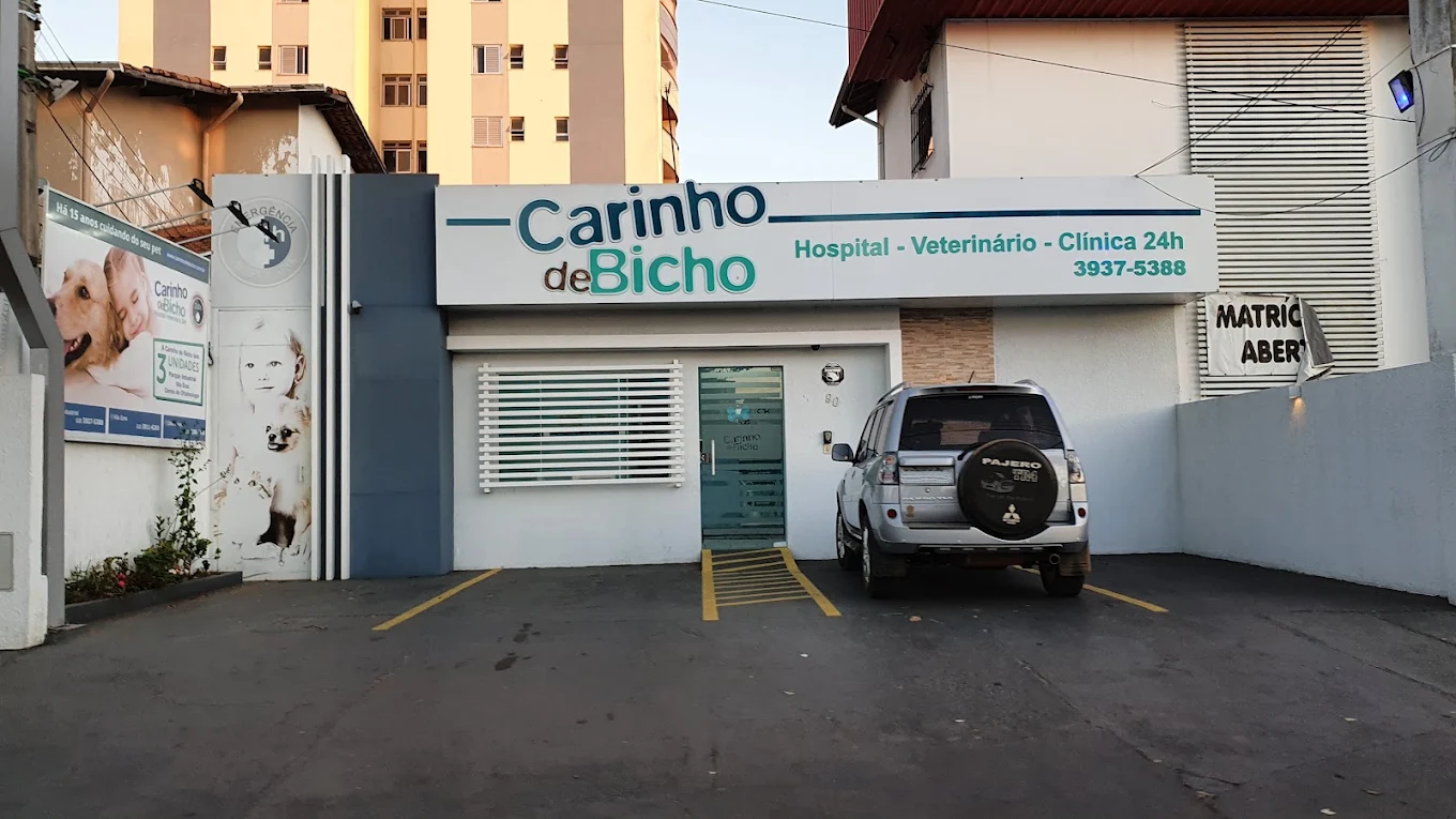 Carinho de Bicho