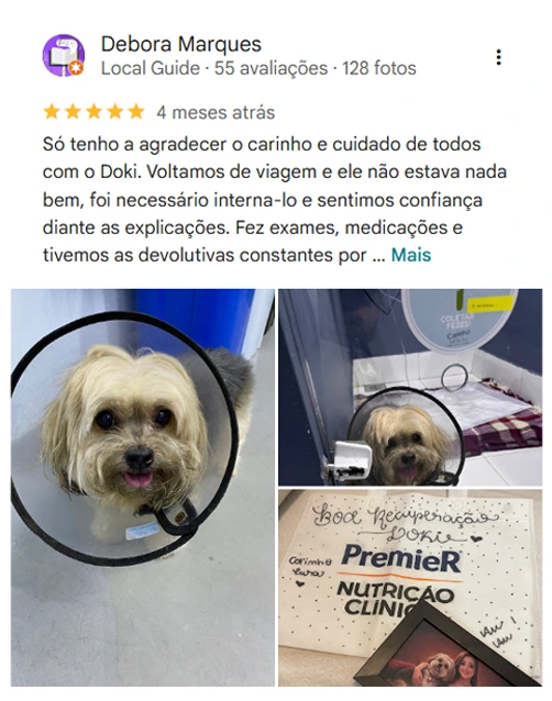 Avaliação 5 estrelas