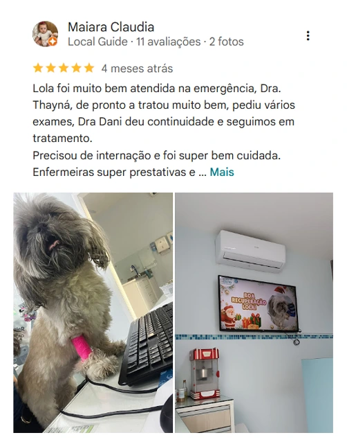Avaliação 5 estrelas