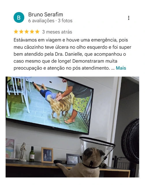 Avaliação 5 estrelas