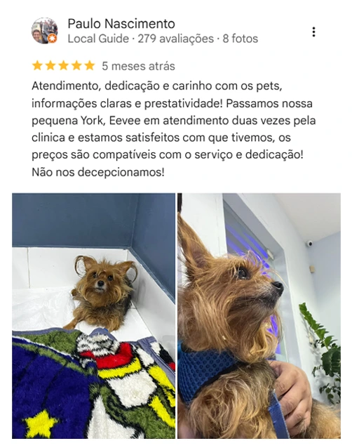 Avaliação 5 estrelas